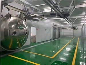 Industrial Lab Scorpion Pharmaceutical Vacuum Lyofilisaattori